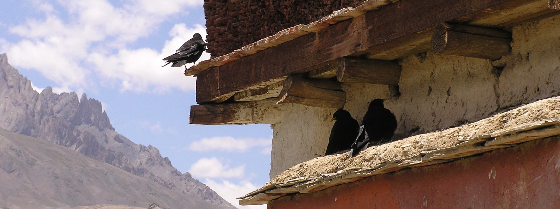 historia ladakhu2